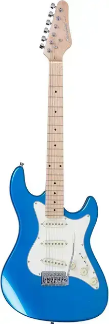 2. Guitarra Strato STS-100 - Strinberg