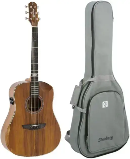 1. Violão SD301HCR - Strinberg